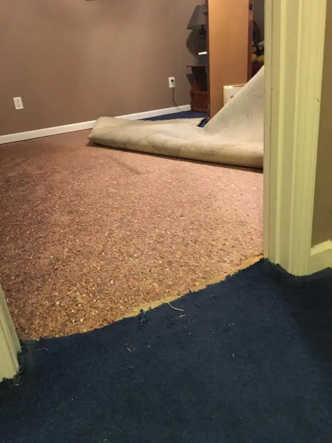 Carpet pad removal revealing water damage during Drying & Dehumidification in Fox Chapel