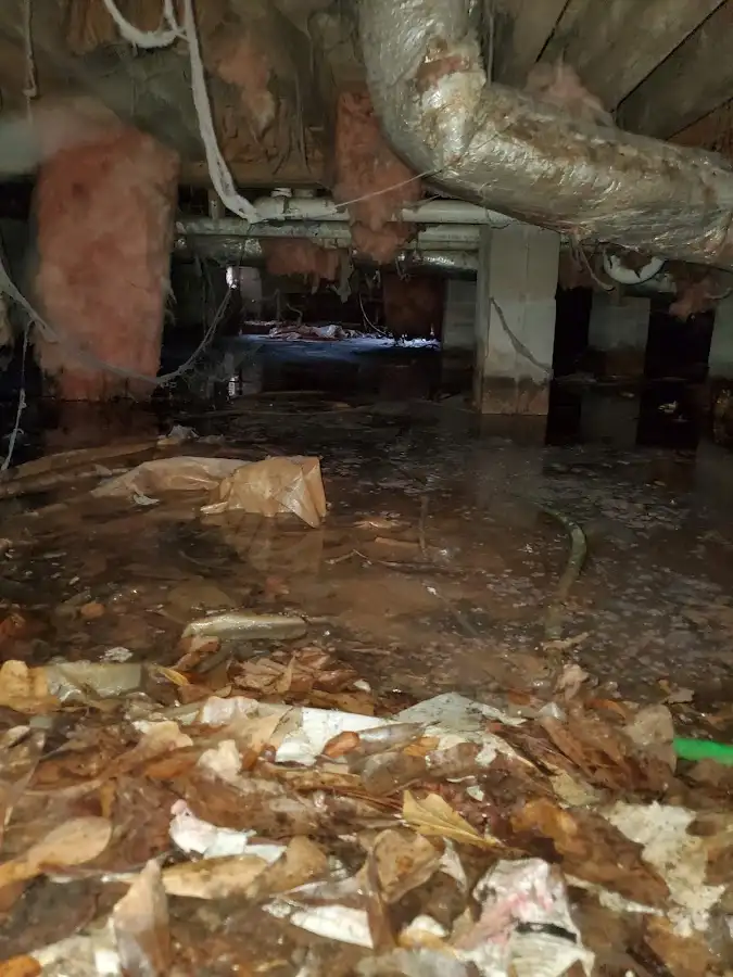 Crawl space flood assessment for Leak Detection & Repair in Fox Chapel