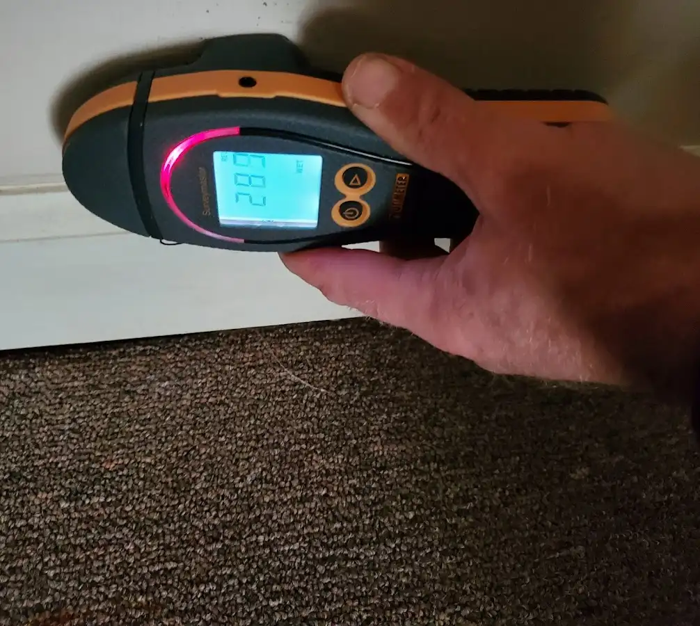 Moisture detection at baseboard during Sewage Cleanup & Sanitation in Fox Chapel